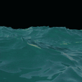 a shark with its mouth open is swimming in the water
