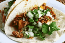 taco day taco tuesday lunch foodie