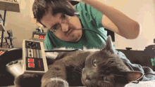 Cat Play Time GIF - Cat Play Time Get Up GIFs
