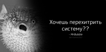 a black and white photo of a puffer fish with a quote in russian .