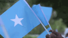 Somalia Somalia Flag GIF - Somalia Somalia Flag Somali GIFs