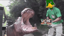a man in a green shirt is standing next to a hippopotamus and holding a sign that says tnt onz