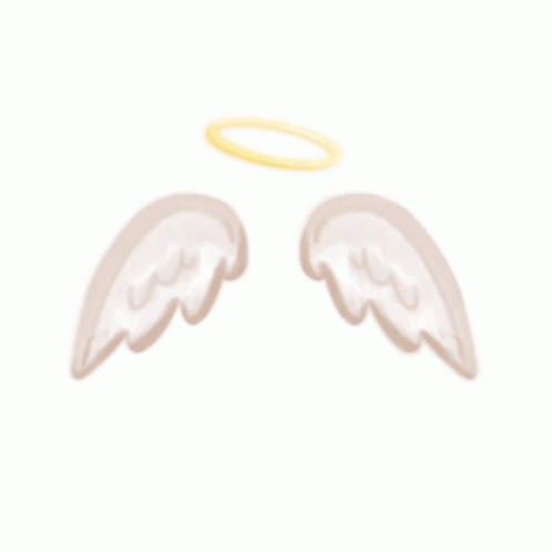 Wings Sticker - Wings - Discover & Share GIFs