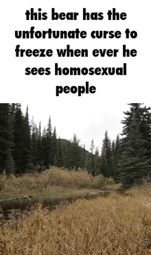 a bear has the unfortunate curse to freeze when ever he sees homosexual people .