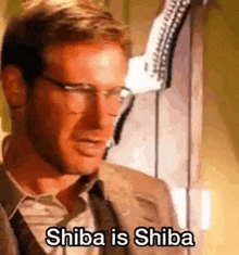 Shiba Inu Shiba Is Shiba GIF - Shiba Inu Shiba Shiba Is Shiba GIFs