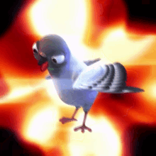 Crazy Bird GIF - Crazy Bird GIFs