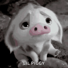 Disney Moana GIF - Disney Moana Pig GIFs