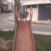 Goose Slide GIF - Goose Slide Weengs GIFs