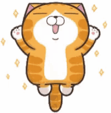cat lan lan cat overjoy happy spin