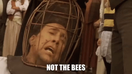 Bee careful if you live in north Washington state, and try not to get stung.