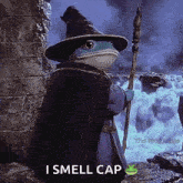 a frog is dressed as a wizard and holding a wand and says i smell cap .