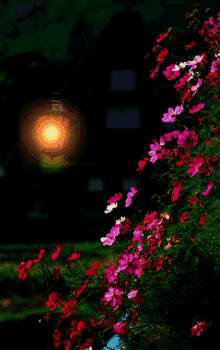 Night Call Blinking Light GIF - Night Call Blinking Light Flowers GIFs
