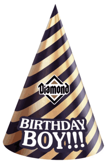birthday birthday hat diamond pet foods pet food dog food