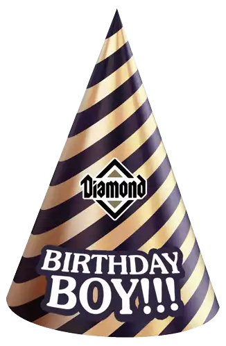 Birthday Birthday Hat Sticker - Birthday Birthday Hat Diamond Pet Foods Stickers