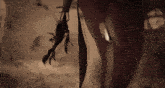 a close up of a person 's torso with a spider on it