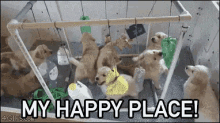 My Happy Place GIF - GIFs