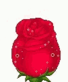 Oui Rose GIF - Oui Rose Flower GIFs