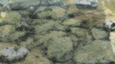 a blurred image of a person standing in front of a rock wall