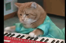 Cat Playing GIF - Cat Playing Piano GIFs
