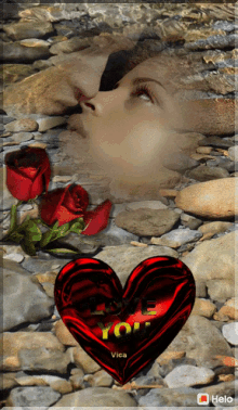 rose kiss love heart i love you