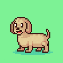 a pixel art drawing of a dachshund walking on a green background