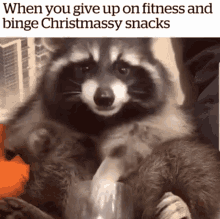 Food When You Give Up On Fitness And Binge Christmassy Snacks GIF - Food When You Give Up On Fitness And Binge Christmassy Snacks Raccoon GIFs