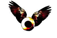 a drawing of a bird with wings and a ball in its beak