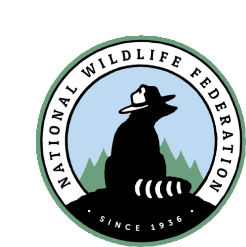 Bear National Sticker - Bear National Wildlife Stickers