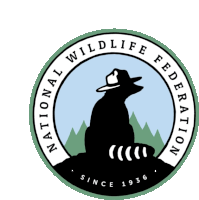 Bear National Sticker - Bear National Wildlife Stickers