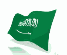 saudi homeland