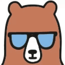 go bear cool bear cool bear sunglasses bear swag