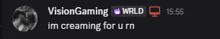 a screenshot of a twitch stream with the name vision gaming on it