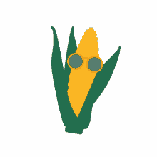 corn dancing
