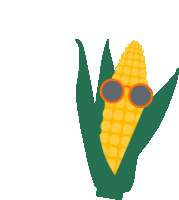 Corn Maize Sticker - Corn Maize Kws Maize Stickers