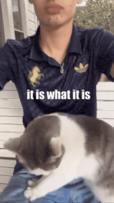 a man in an adidas shirt holds a cat in his lap