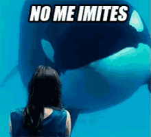 No Me Imites GIF - Ballena Orca No Me Imites Arremedar GIFs