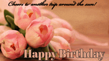 a birthday card with pink flowers and the words cheers to another trip around the sun happy birthday