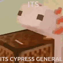 Cypress GIF - Cypress GIFs