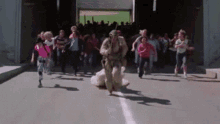 Charge Attack Of The Killer Tomatoes GIF - Charge Attack Of The Killer Tomatoes Running GIFs