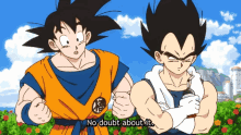 a cartoon of goku and vegeta with the words no doubt about it