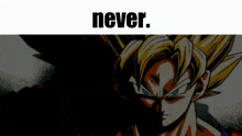 Never Never Goku GIF