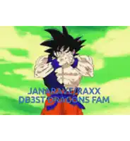 a picture of a dragon ball z character with the words janarave raxx db3st dragons fam below him