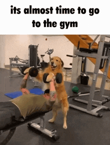 Its Almost Time To Go The Gym GIF