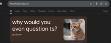 a google search for why should i play cs2 shows a picture of a cat