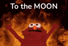 elmo from sesame street is standing in front of a fire with his arms outstretched and says `` to the moon '' .