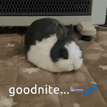 a black and white rabbit is laying on a blanket with the words goodnite written on it