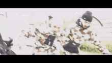GIF