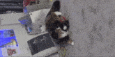 a cat is laying on its back next to a heater and a card that says ' christmas ' on it