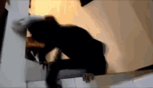 Sollux Stairs GIF - Sollux Stairs 2setsofstairs GIFs