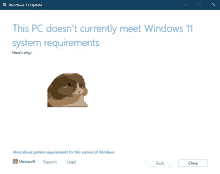 Windows Meme GIF - Windows Meme Cat GIFs